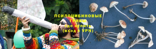хмурый Михайловск
