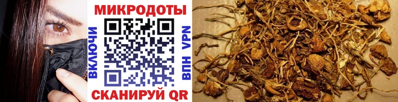 Галлюциногенные грибы Psilocybine cubensis  продажа наркотиков  Минусинск 