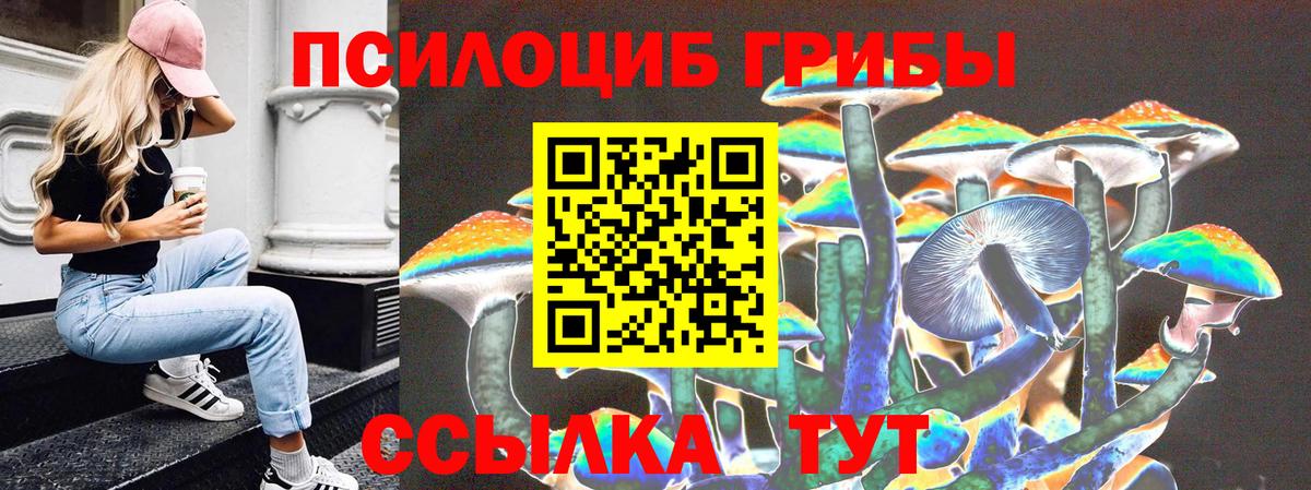 Минусинск  Галлюциногенные грибы MAGIC MUSHROOMS  Вход с VPN 