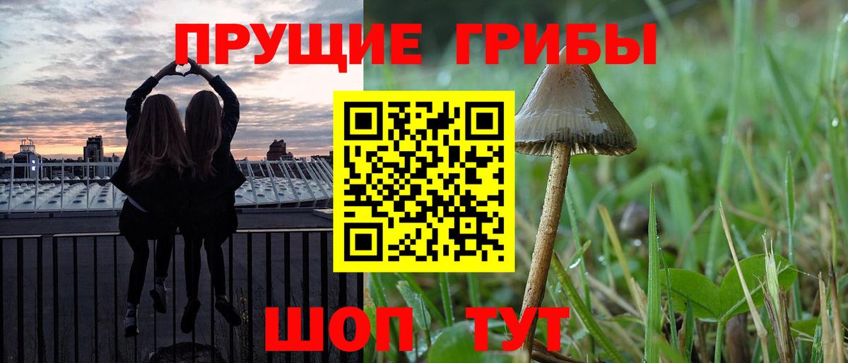 Псилоцибиновые грибы GOLDEN TEACHER Минусинск